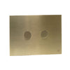 gold_brushed_brass_flush_plate