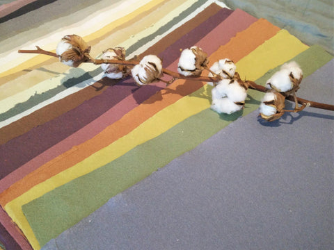 A cotton branch laid atop handmade cotton rag paper