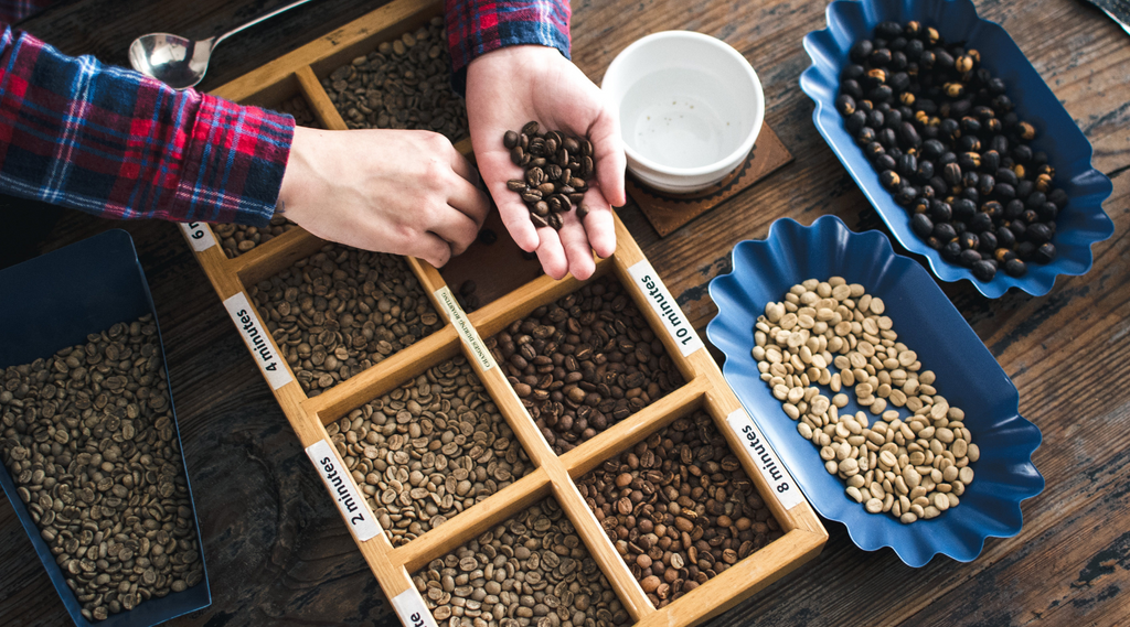 high quality arabica coffee beans