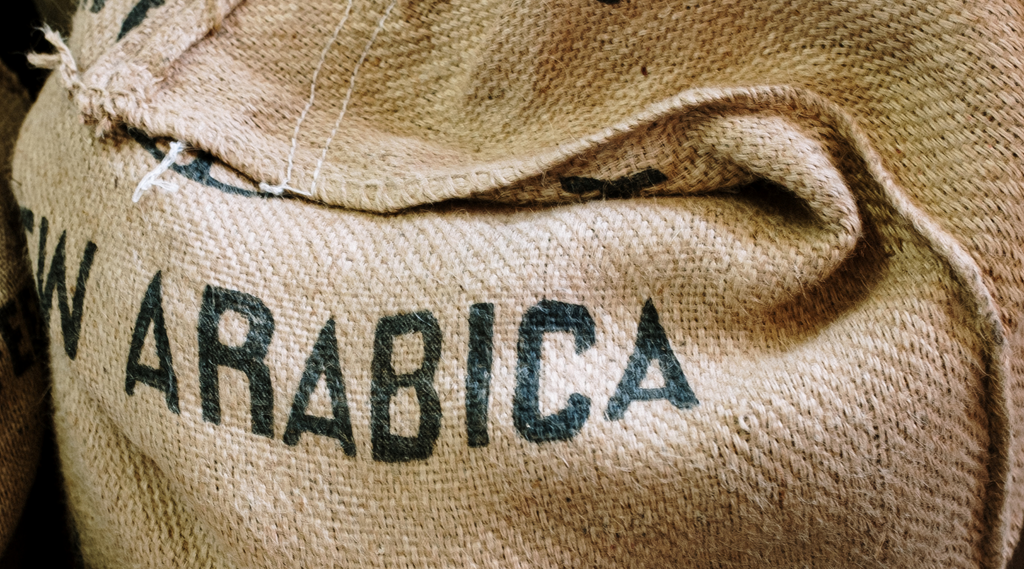 arabica coffee beans 