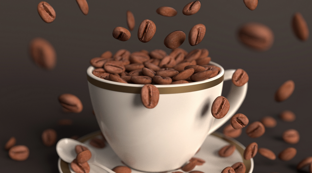 premium quality coffee beans