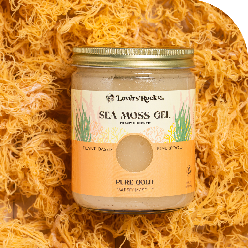 Holiday DIY Sea Moss Kit – Love You More Seamoss