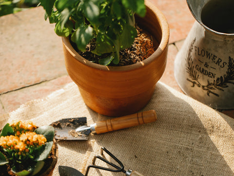 herb pot with gardening tools