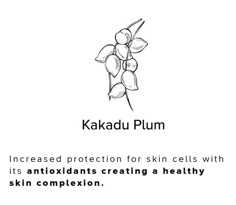 Ingredients of Routine Skin products - Kakadu Plum, Davidson Plum, Desert Lime, and Native Peach (Quandong)