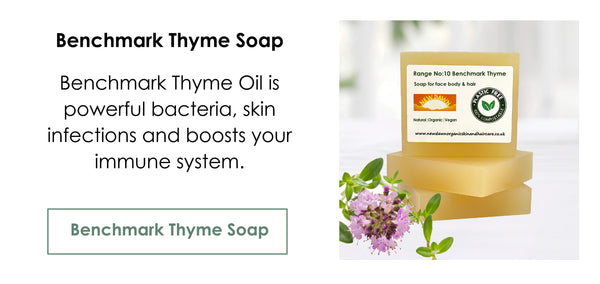 Benchmark Thyme Soap