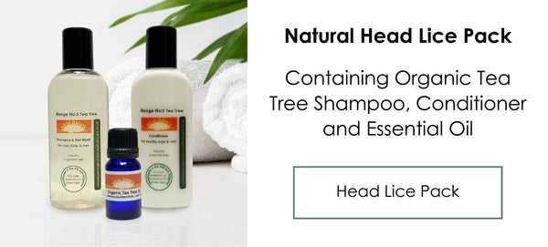 Natural Head Lice Treatment