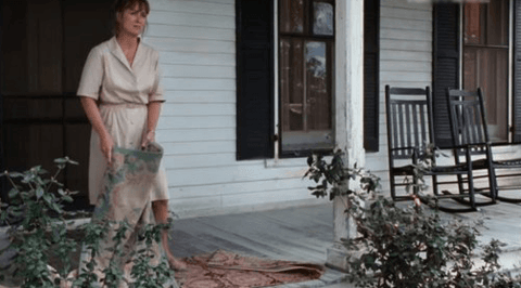 Adirondack Rocking Chairs in the Film The Bridges of Madison County (1995).png