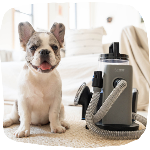 furMe Professional Plus Grooming Vacuum Kit