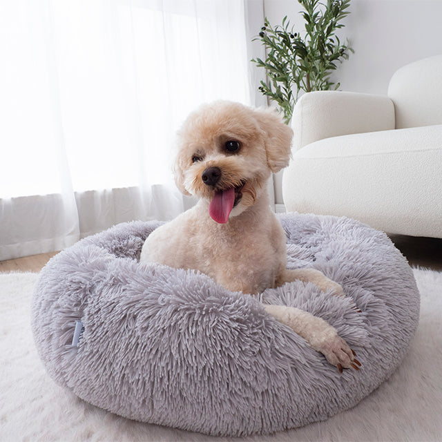 Frost Calming Donut Pet Bed Test