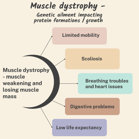 Concerns related with muscular dystrophy - Limited mobility, Scoliosis (curved spine), Breathing troubles and heart issues, Digestive problems