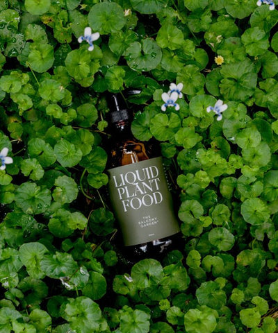 A bottle of Liquid Plant Food for indoor and outdoor garden use.