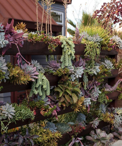 Vertical garden with wall-mounted planters