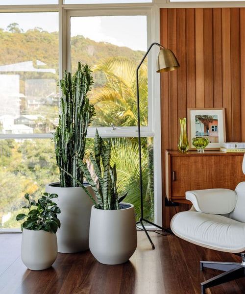 Clustered indoor plants and pots.