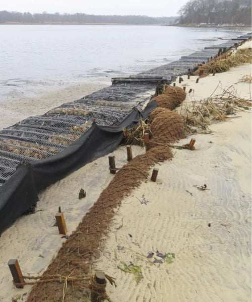Coconut shell fibre made barriers help prevent erosion from rising sea levels.