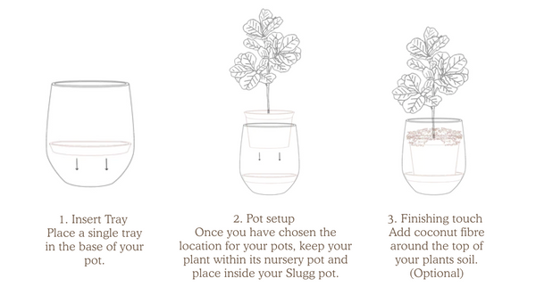 How to use your trays