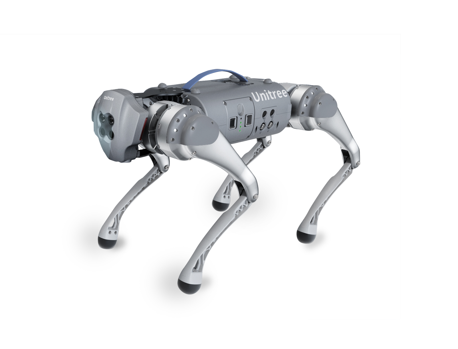 B1 Quadruped Robot Dog