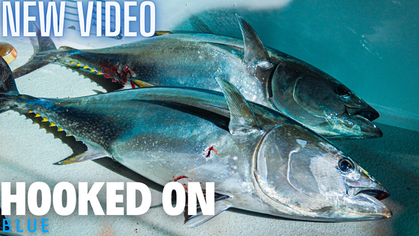 Mastering the Art of Bluefin Tuna Fishing with Slow Pitch Jigs – JYG  PROFISHING