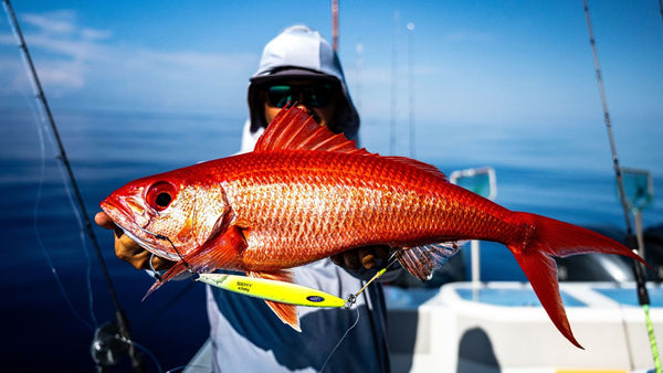 EXÓTICA Aventura de Jigging de paso lento: ¡48 horas de acción sin parar en Luisiana! (Parte 1)