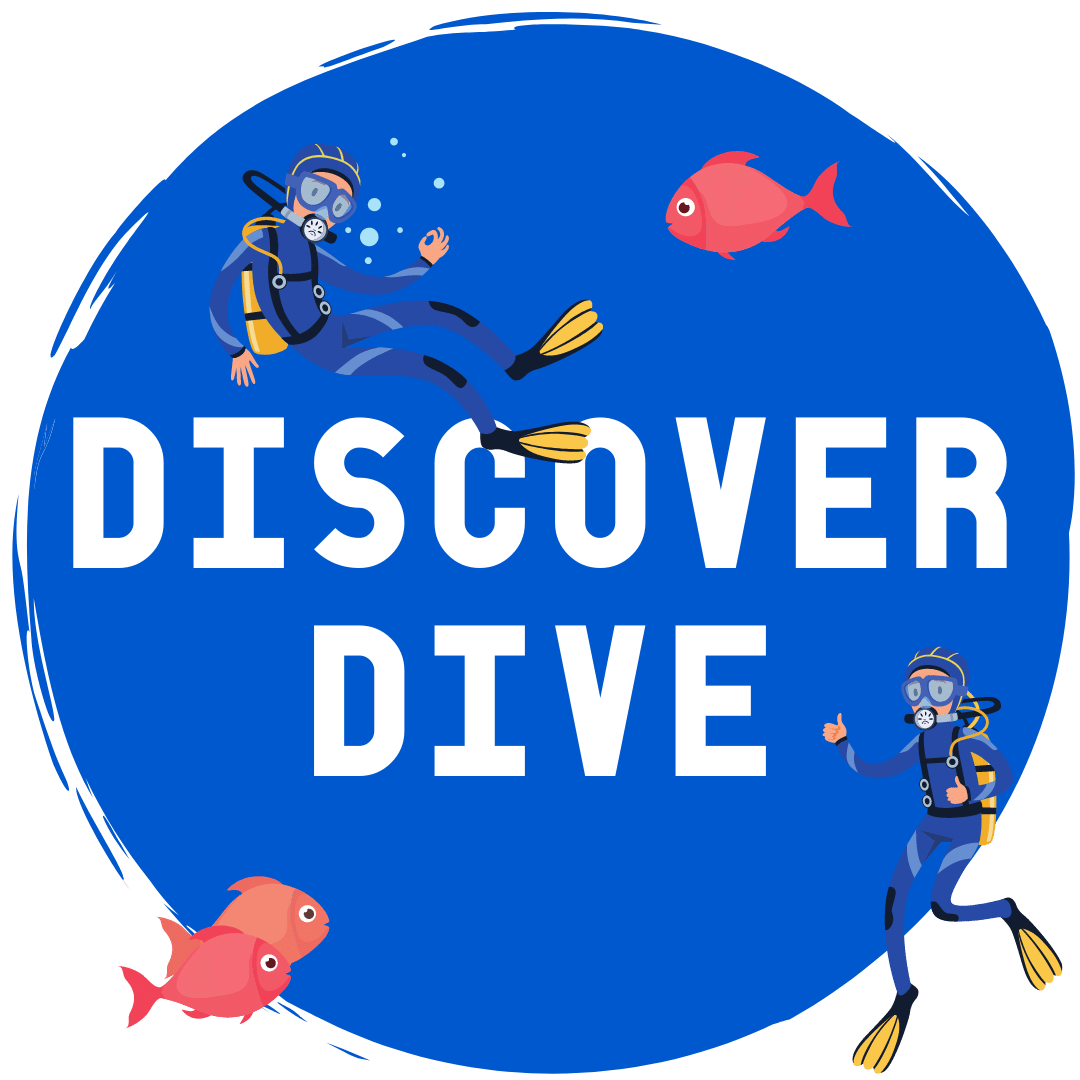 Discover Dive