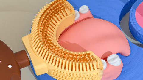 How to use U-shaped toothbrush - All4Baby