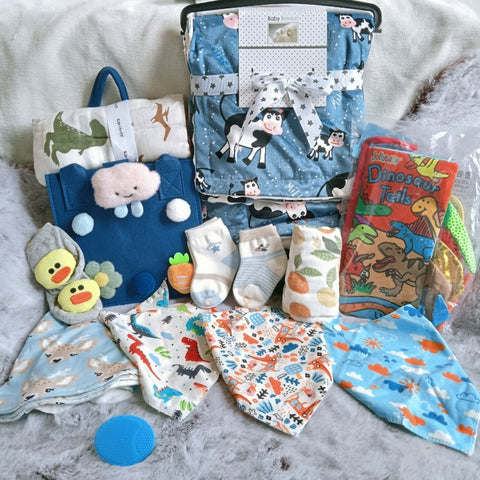 New Born Baby Gift Hamper - Baby Boy Gift Set | All4baby NZ