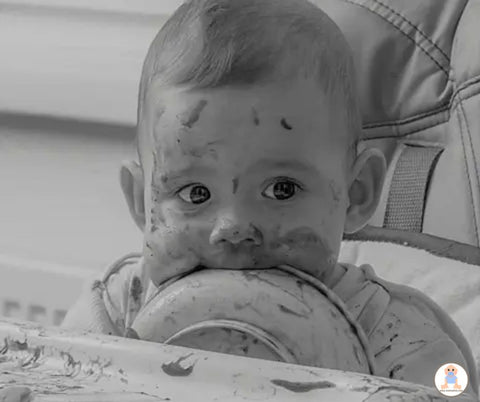 Assiette Bébé Anti renversement