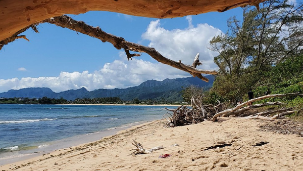 Malaekahana Beach