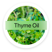 Thyme Oil