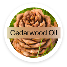 Cedarwood Oil