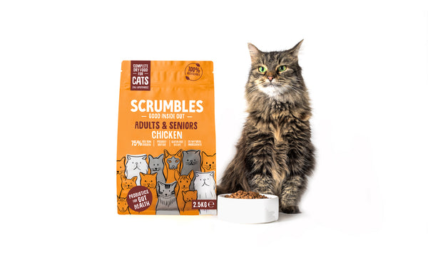 Cat with Scrumbles chicken dry cat food