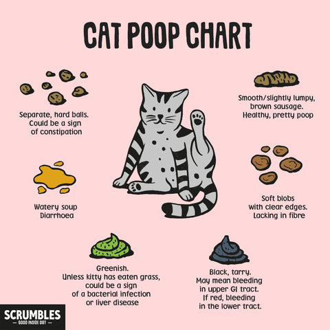 Cat Poop Chart