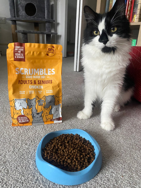 Scrumbles Chicken Cat food