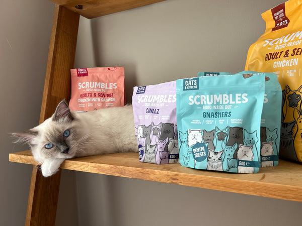 Cat with Scrumbles cat food