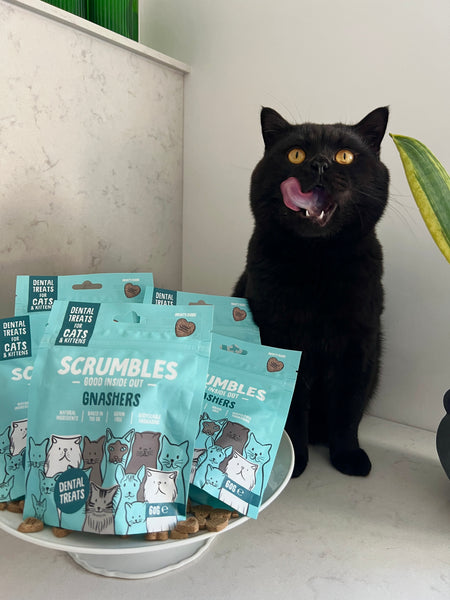 Scrumbles Cat Gnashers treats