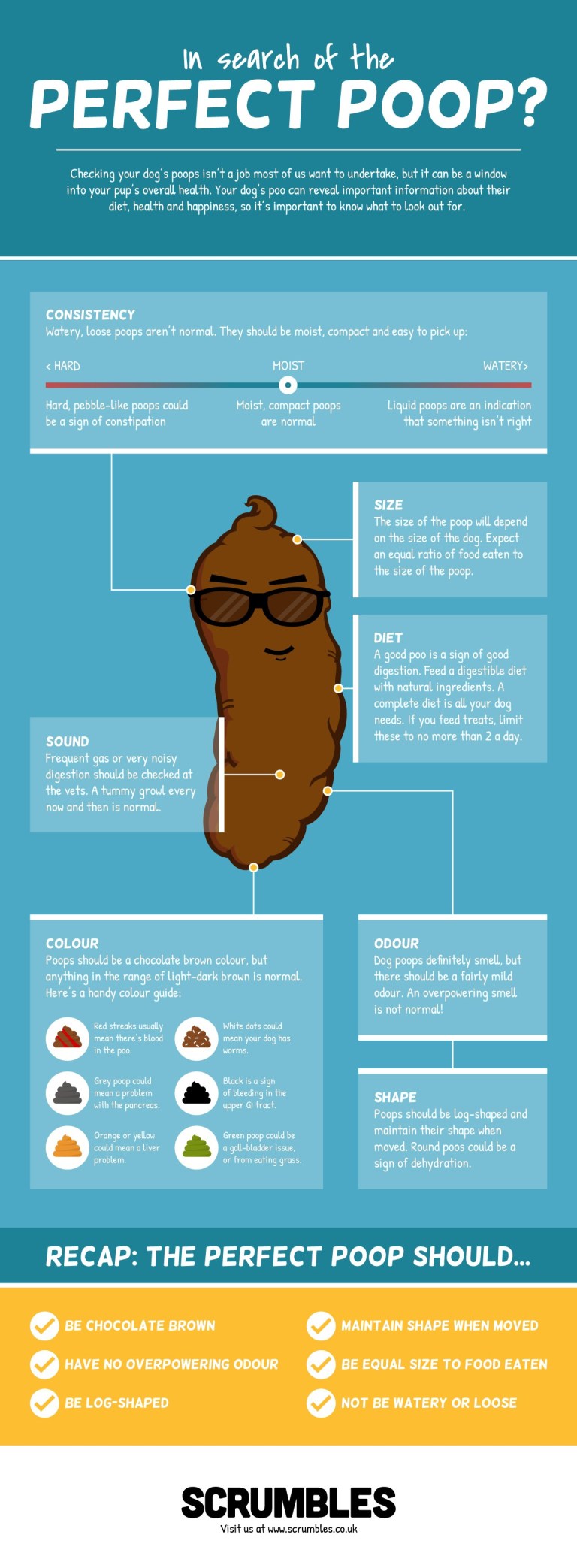 perfect poop infographic