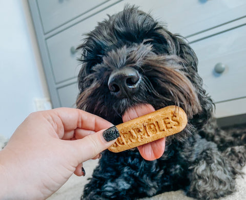 Dog dental sticks