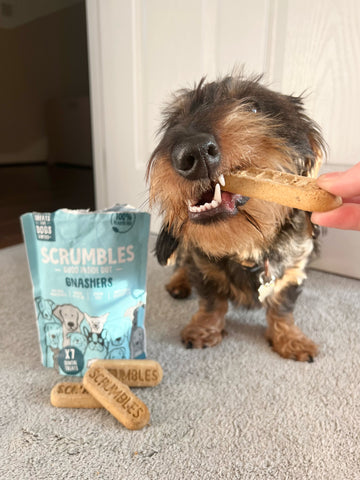 Scrumbles dog natural dental treats with prebiotics