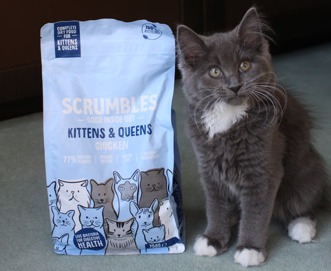 kitten dry cat food scrumbles