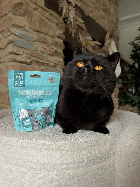 Scrumbles Cat Gnashers