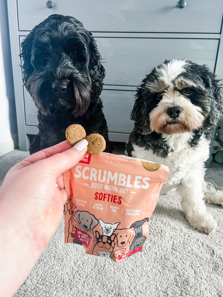 Scrumbles Dog Salmon Softies