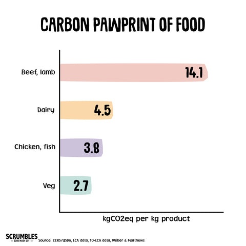 carbon paw print of dog food