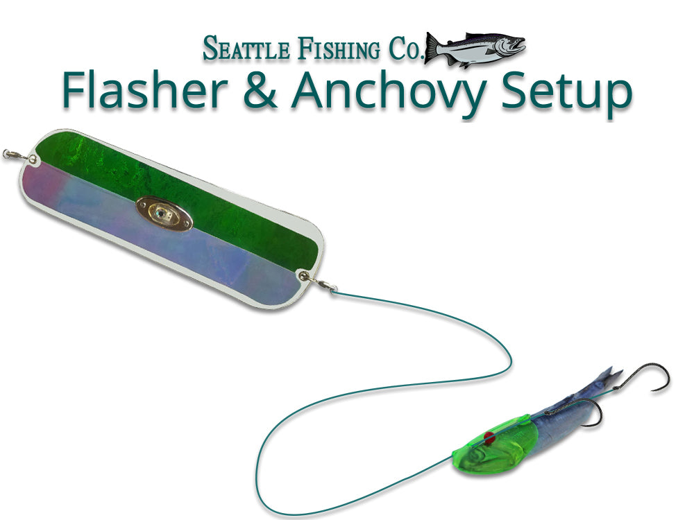 Flasher & Bait Helmet Setup - Salmon Fishing with Anchovy and Herring–  Seattle Fishing Company