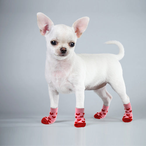 Devastar único Deliberadamente Zapatos, calcetines para perros, perritos y gatos antideslizantes, –  amigosdemascotas