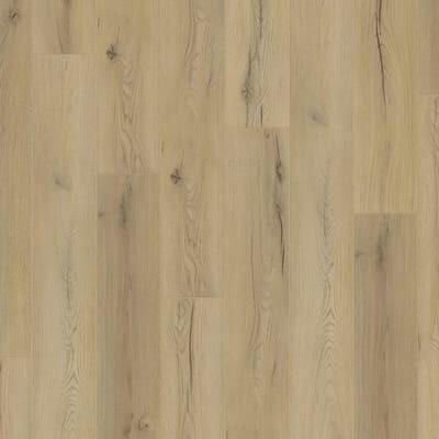  Century oak beige 54374176 - 1867 Flooring 8mm Laminate Authentic Advanced Collection 