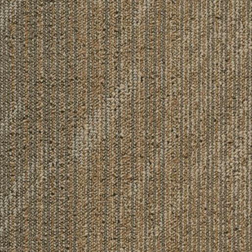  Home's Pro Carpet Tile - Notion Series 