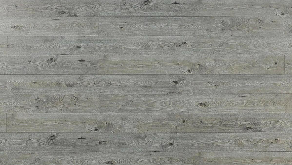  TF8003 - TOUCAN 12mm Laminate TF8000 Series 