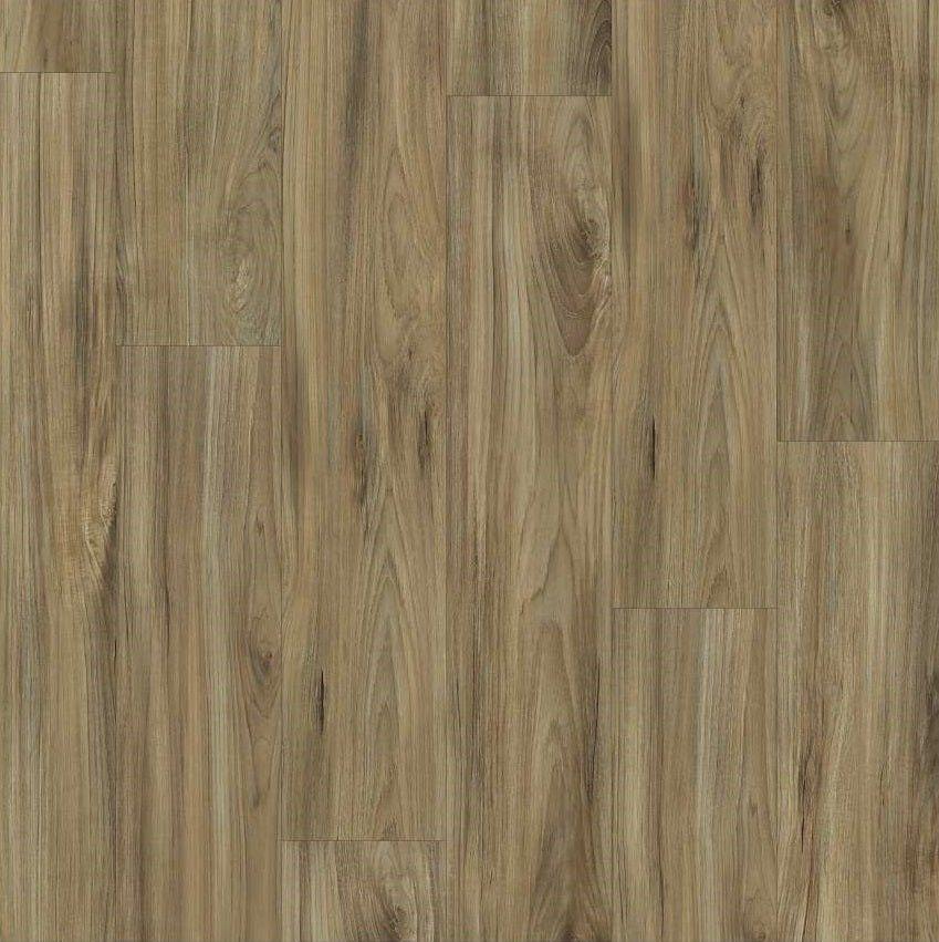  WHISPERING WOOD - Shaw Vinyl 4.4mm IMPACT PLUS 2031V 