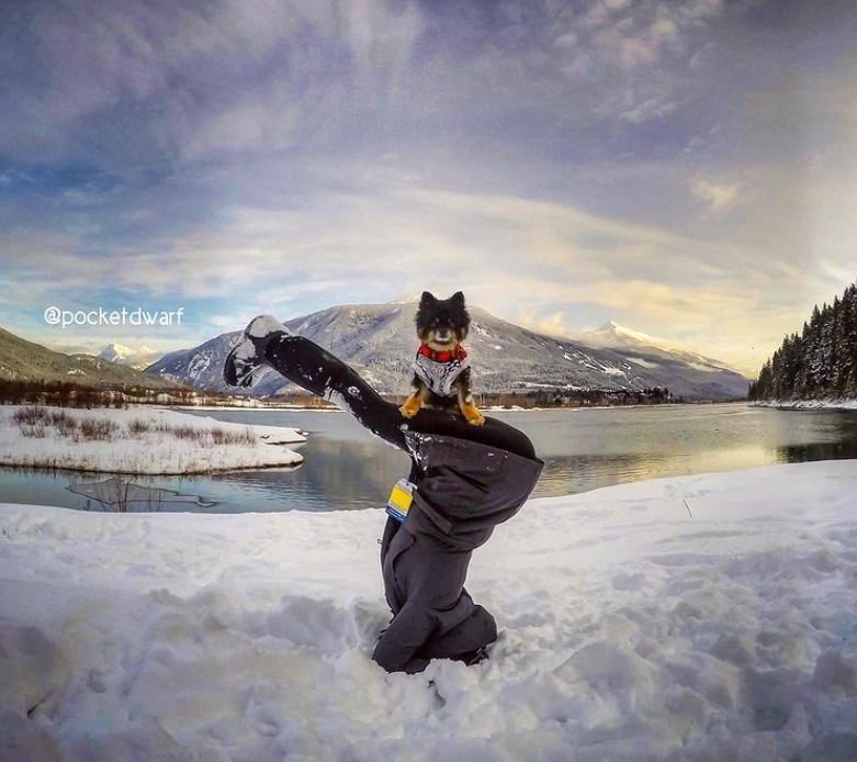 yoga in snow