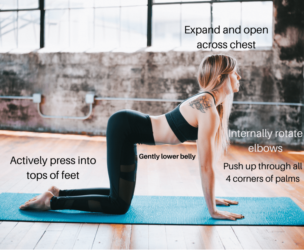 Cat Cow Pose (Marjaryasana/Bitilasana in Sanskrit) — 7SY