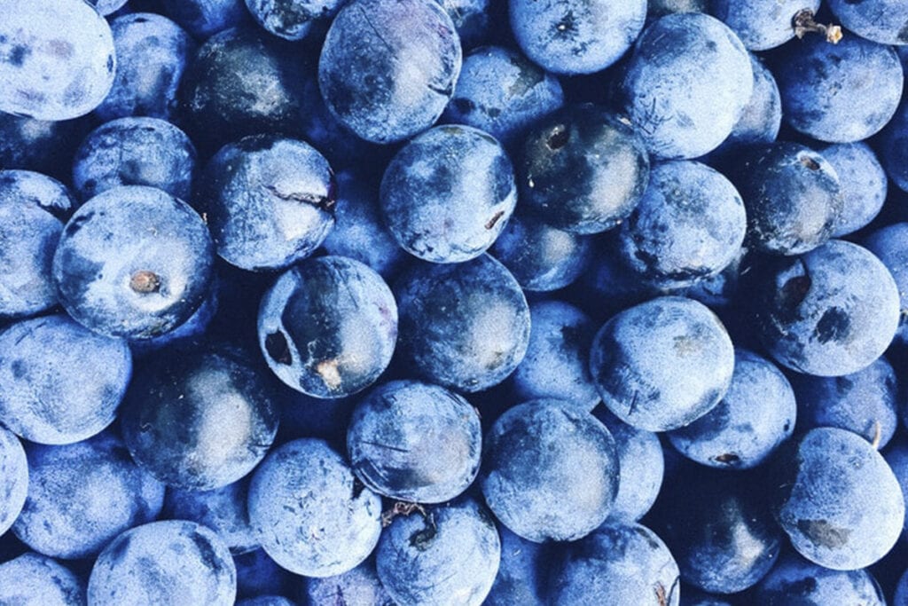 Blue Fruit
